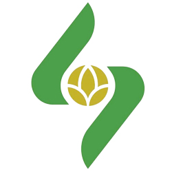 Phạm thị thuý an